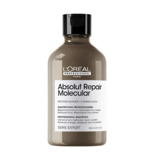 Absolut Repair Molecular Shampoo 300ml