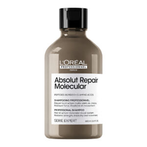 Absolut Repair Molecular Shampoo 300ml